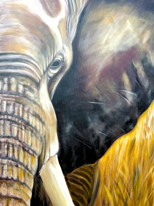 Elephant - High Quality Prints